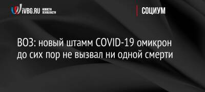 Майкл Райан - ВОЗ: новый штамм COVID-19 омикрон до сих пор не вызвал ни одной смерти - ivbg.ru - Россия - Украина