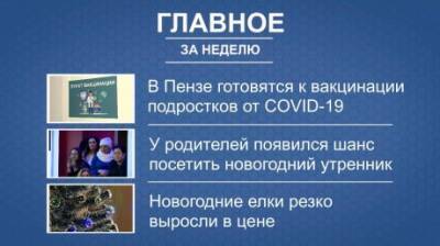 Итоги недели: вакцинация подростков, допуск на утренники и цены на елки - penzainform.ru - Пензенская обл.