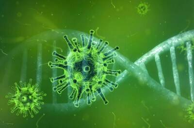 Джордж Мейсон - Биолог рассказала, стоит ли опасаться штамма коронавируса «омикрон» - pnp.ru - Россия - Сша