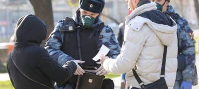 Полиция подсчитала число штрафов за нарушения коронавирусных ограничений в Петрозаводске - stolicaonego.ru - Россия - Петрозаводск