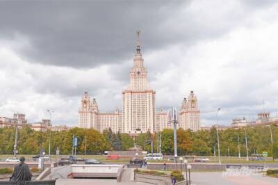 В МГУ смоделировали поведение полимеров, напоминающих пальмы - aif.ru