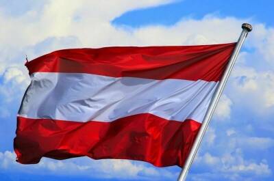 Карл Нехаммер - Новый канцлер Австрии назвал главные приоритеты политики кабмина - pnp.ru - Австрия