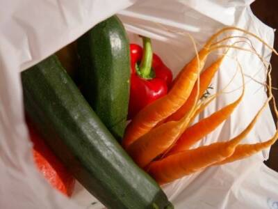 Назван самый полезный овощ - rosbalt.ru