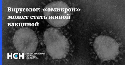 Петр Чумаков - Вирусолог: «омикрон» может стать живой вакциной - nsn.fm - Россия