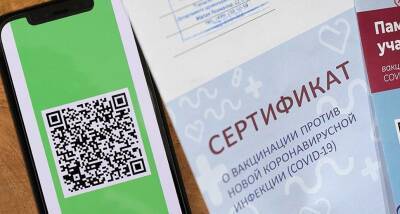 Депутаты региональных парламентов положительно оценили введение обязательных QR-кодов - runews24.ru - Россия
