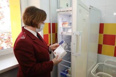 В Нижегородской области зарегистрировано 23 случая гриппа А (Н3N2) - nn.mk.ru - Нижегородская обл.