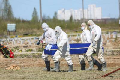 Эль Мюрид. Смертность в России будет расти - newsland.com - Россия