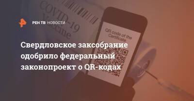 Свердловское заксобрание одобрило федеральный законопроект о QR-кодах - ren.tv - Свердловская обл.