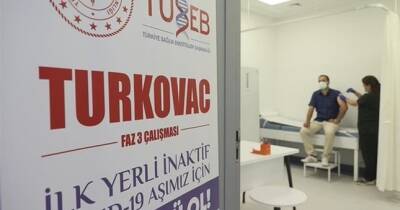 Эксперт: Турецкая вакцина эффективна от COVID-19 - dialog.tj - Турция