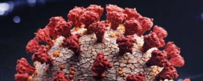 Комбинация инфекции и вакцинации даёт лучший иммунитет против коронавируса - runews24.ru