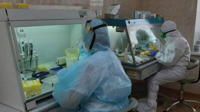 В Пензе появились тест-системы для выявления вируса гриппа и COVID - penzainform.ru - Пенза