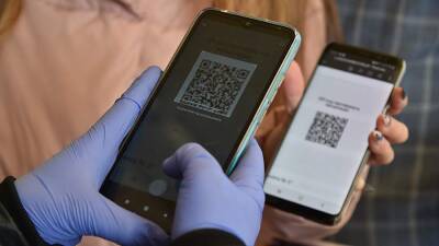 Владимир Владимиров - В Ставрополье ввели QR-коды для посещения общественных мест - iz.ru - Израиль - Ставрополье край