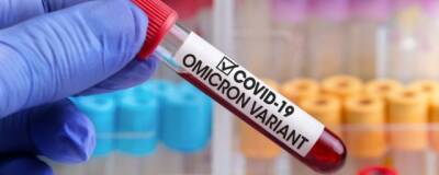 Вакцина против омикрон-штамма COVID-19 от Pfizer и BioNTech появится уже в марте 2022 года - runews24.ru - Германия
