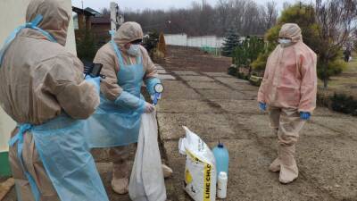 На Луганщине подтвердили вспышку птичьего гриппа - vchaspik.ua - Украина