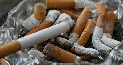 В Новой Зеландии введут запрет на продажу сигарет рожденным после 2008 года - dsnews.ua - Новая Зеландия