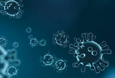 Александр Горелов - Владимир Болибок - Эпидемиолог назвал главное открытие в изучении коронавируса - online47.ru