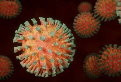 Назван самый распространенный штамм коронавируса в России - online47.ru - Россия