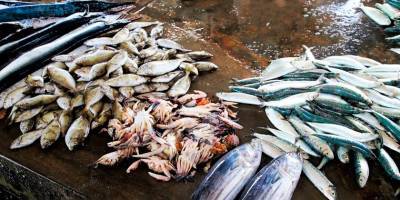 Эксперты ВОЗ посетили тот самый рынок морепродуктов в Ухане - detaly.co.il - Китай - Ухань