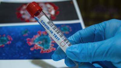 Ученые НИИ гриппа оценили риски заражения новыми штаммами коронавируса - nation-news.ru - Россия - Сша - Англия - Бразилия - Юар