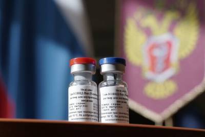 В Чехии допустили возможность вакцинации от Covid-19 «Спутником V» - eadaily.com - Россия - Белоруссия - Китай - Евросоюз - Сербия - Чехия - Эмираты - Туркмения