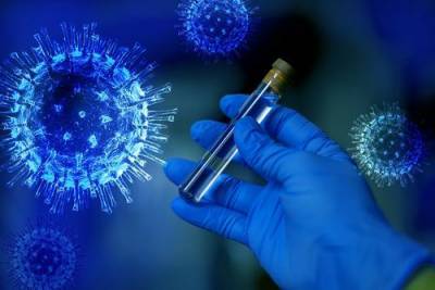 В Испании 78 постояльцев дома престарелых заразились коронавирусом после вакцинации - argumenti.ru - Испания - Лагартер