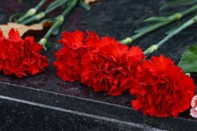 Темур Циклаури - Солист ансамбля «Иверия» Темур Циклаури умер от последствий COVID-19 - aif.ru - Грузия - Тбилиси - Гори