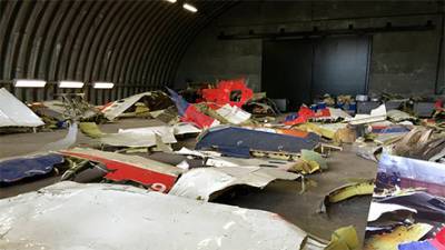 Олег Пулатов - Суд по MH17: адвокаты обвиняемого хотят осмотреть все обломки самолета - bin.ua - Россия - Украина - Голландия