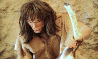Антропологи нашли следы скрещивания неандертальцев с Homo sapiens: определили по зубам - unn.com.ua - Украина - Киев - Джерси
