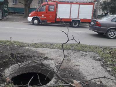 В Мелитополе из канализационного люка спасли собаку - inform.zp.ua - Украина - Мелитополь
