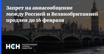Запрет на авиасообщение между Россией и Великобританией продлен до 16 февраля - nsn.fm - Россия - Англия