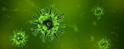 Ученые выяснили, как коронавирус SARS-CoV-2 скрывается от иммунитета - runews24.ru