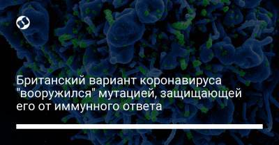 Британский вариант коронавируса "вооружился" мутацией, защищающей его от иммунного ответа - liga.net - Украина
