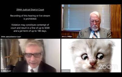 Род Понтон - Юрист в США появился на онлайн-суде под видом кота - korrespondent.net - Сша - New York - штат Техас