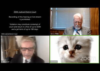 Во время судебных онлайн-слушаний в Zoom один из юристов предстал в образе кота - itc.ua - Сша