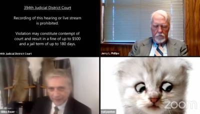 Род Понтон - Адвокат не смог выключить фильтр в Zoom и появился на судебном заседании в "обличье" кота: видео - vchaspik.ua - Украина - штат Техас