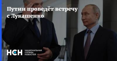 Владимир Путин - Дмитрий Песков - Александр Лукашенко - Путин проведёт встречу с Лукашенко - nsn.fm - Россия