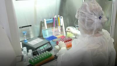 Новая лаборатория по выявлению особо опасных инфекций начала работу в Луганске - riafan.ru - Луганск