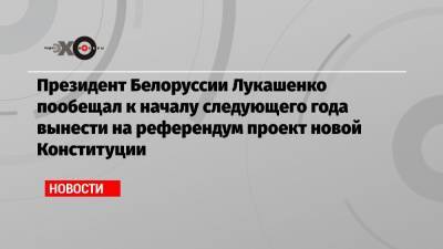 Александр Лукашенко - Президент Белоруссии Лукашенко пообещал к началу следующего года вынести на референдум проект новой Конституции - echo.msk.ru
