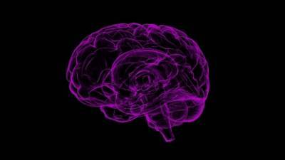 Невролог Грибанов рассказал, как восстанавливать мозг после перенесенного COVID-19 - inforeactor.ru