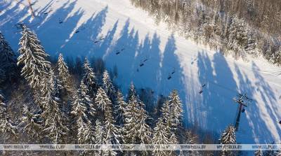 Норвегия не примет лыжные соревнования в текущем сезоне из-за коронавируса - belta.by - Минск - Норвегия