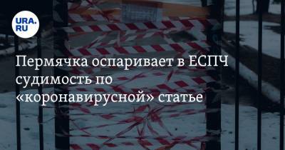 Пермячка оспаривает в ЕСПЧ судимость по «коронавирусной» статье - ura.news - Россия - Пермь