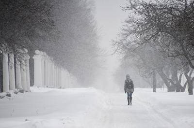 Роман Вильфанд - Последствия снегопада в Москве будут устранять неделю, сообщил метеоролог - pnp.ru - Россия - Москва