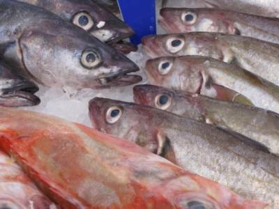 Из-за действий Китай обвалились цены на минтай, а поставки рыбы остановились - rosbalt.ru - Китай
