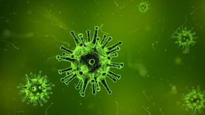Россияне оценили степень опасности коронавирусной инфекции - nation-news.ru - Россия