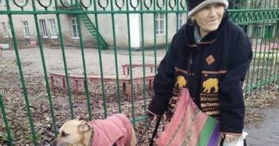 Пес-помощник: в Запорожье собака носит сумки своей старенькой хозяйки - tsn.ua - Запорожье