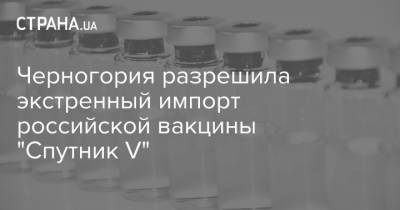 Черногория разрешила экстренный импорт российской вакцины "Спутник V" - strana.ua - Черногория