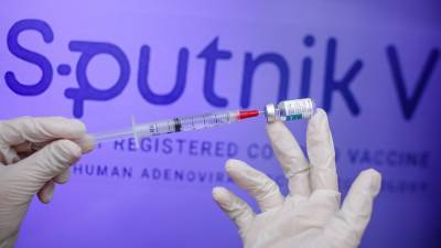 Александр Гинцбург - Гинцбург рассказал о продолжительности действия вакцины "Спутник V" - nation-news.ru - Россия