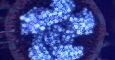 Кристиан Йейтс - Математик вычислил объем коронавируса в мире - ren.tv - Англия