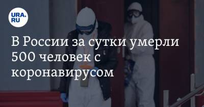 В России за сутки умерли 500 человек с коронавирусом - ura.news - Россия - Москва