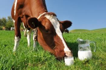 Цены на молочные продукты начали стремительно увеличиваться - vologda-poisk.ru - Россия
